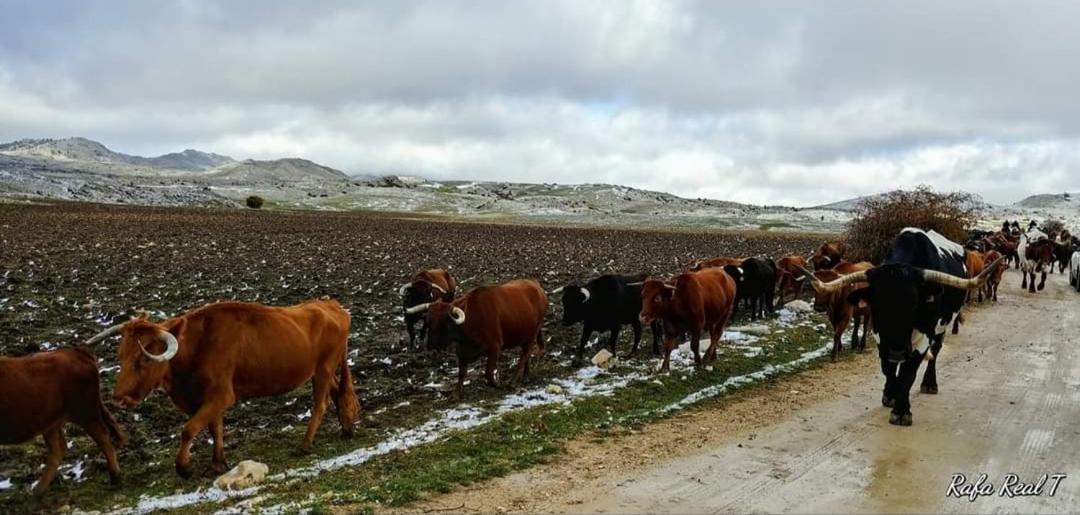 Alojamiento Rural El Penon De Hornos Ngoại thất bức ảnh